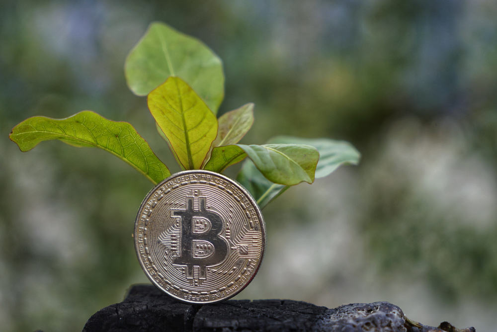 Penjualan dan Pembelian Efek di Pasar Modal Disebut Dengan Perdagangan: Apa Maknanya Bagi Investor?